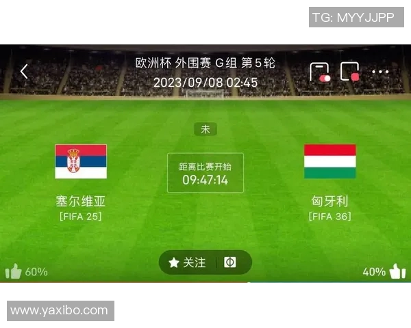 匈牙利与俄罗斯足球对决前瞻分析及比赛结果预测